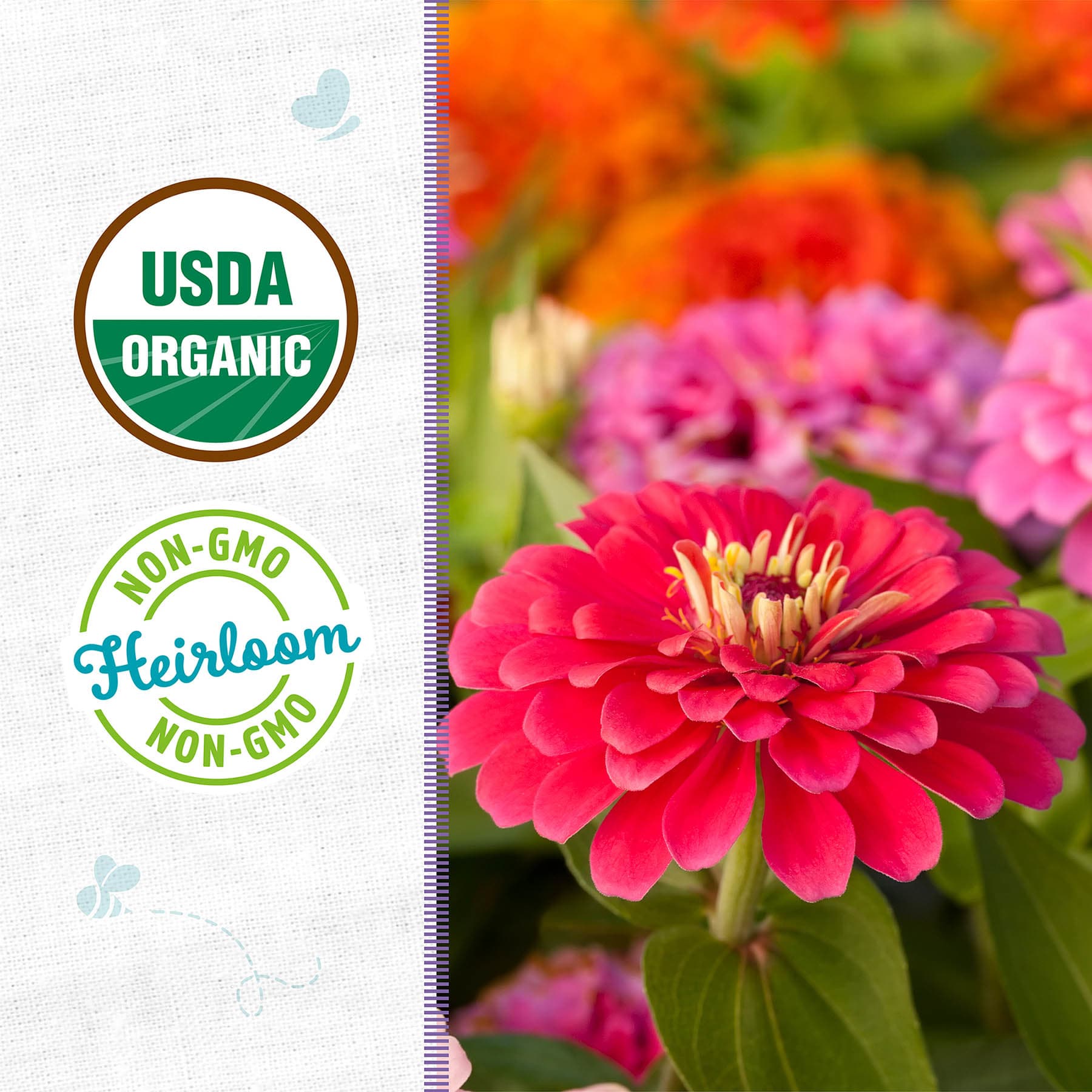 Back to Roots Heirloom Seeds, Zinnia California Giants