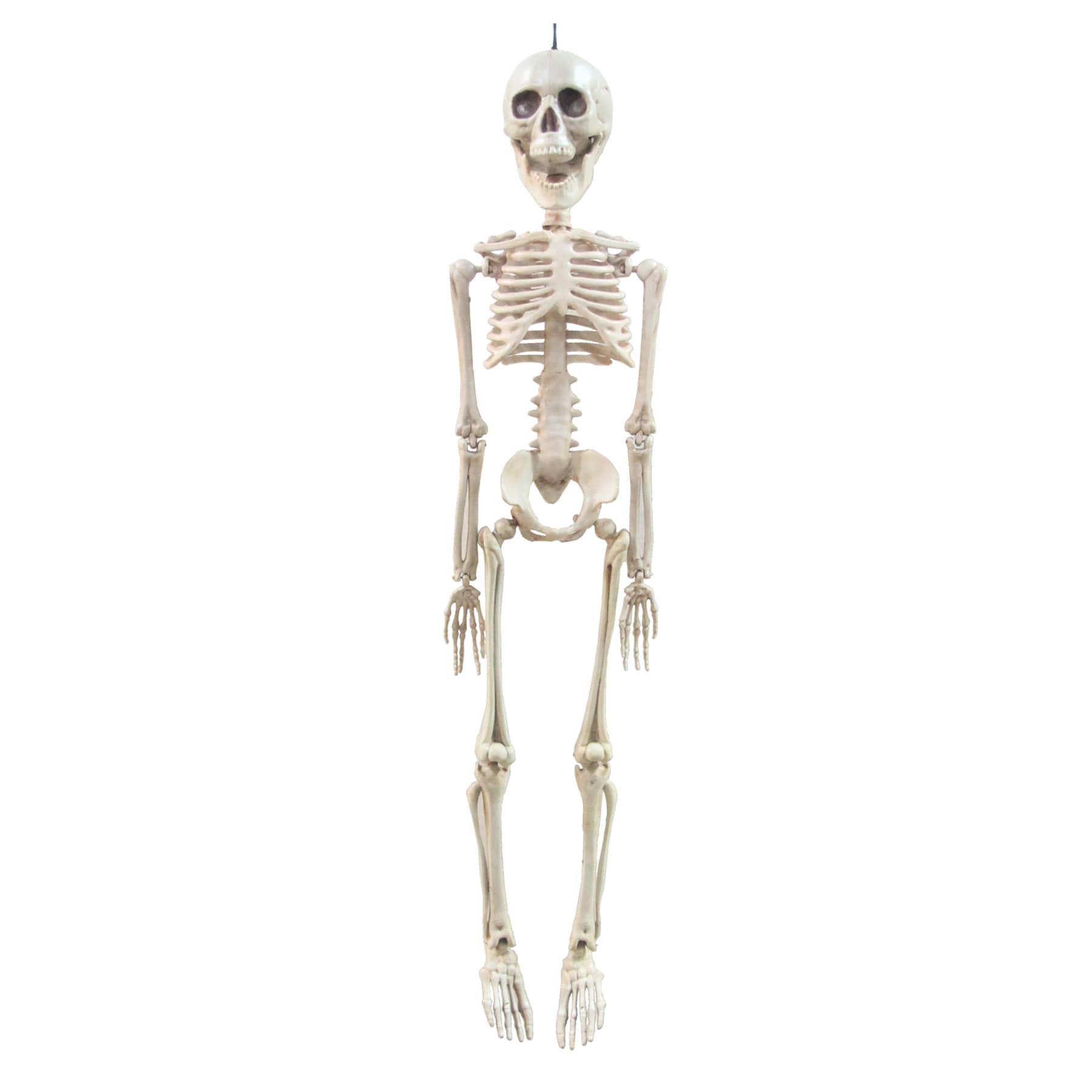 Hanging Halloween Skeleton, 20"