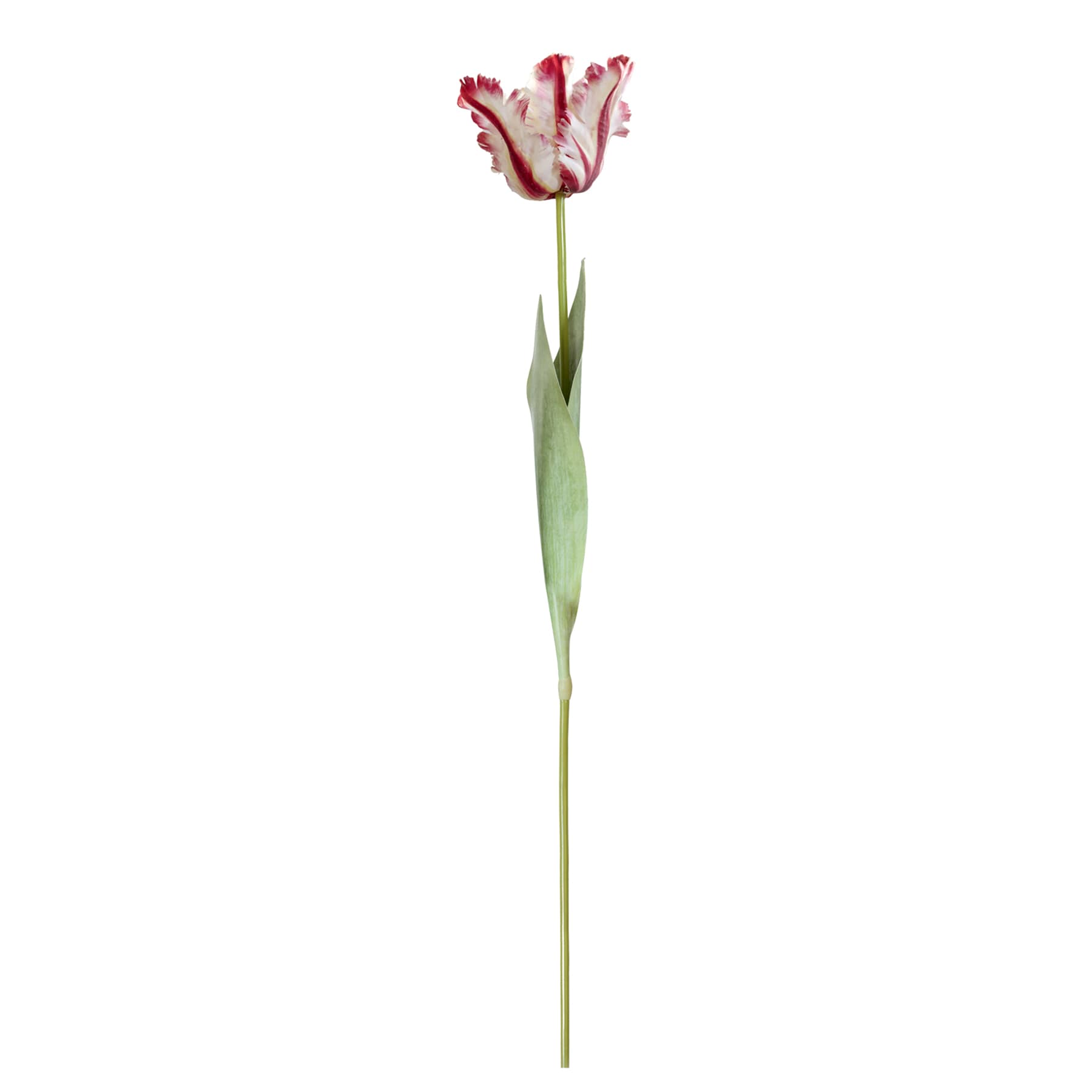 Willow Crossley Red Soft Tulip Floral Pick, 27"