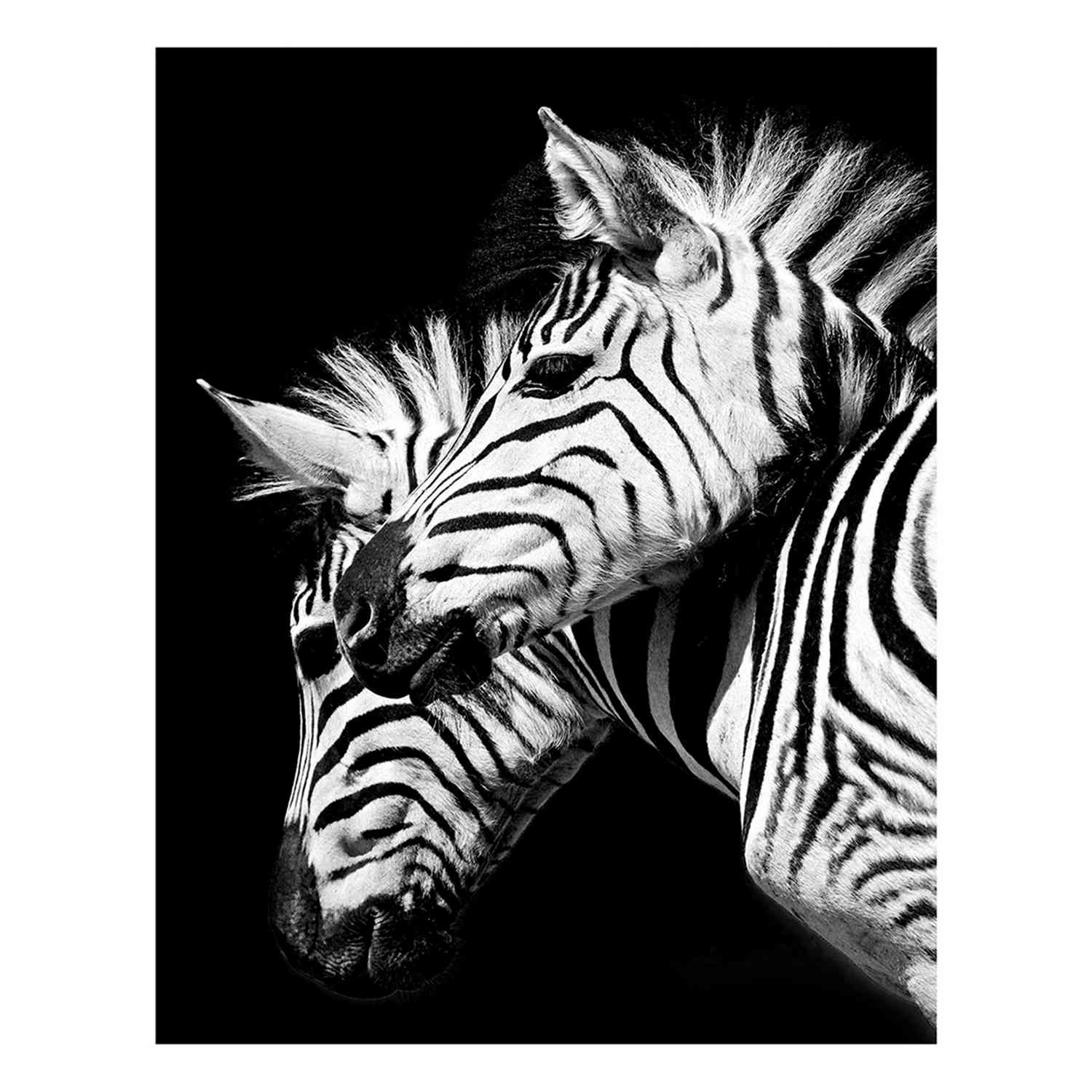Zebras Block, 8x10