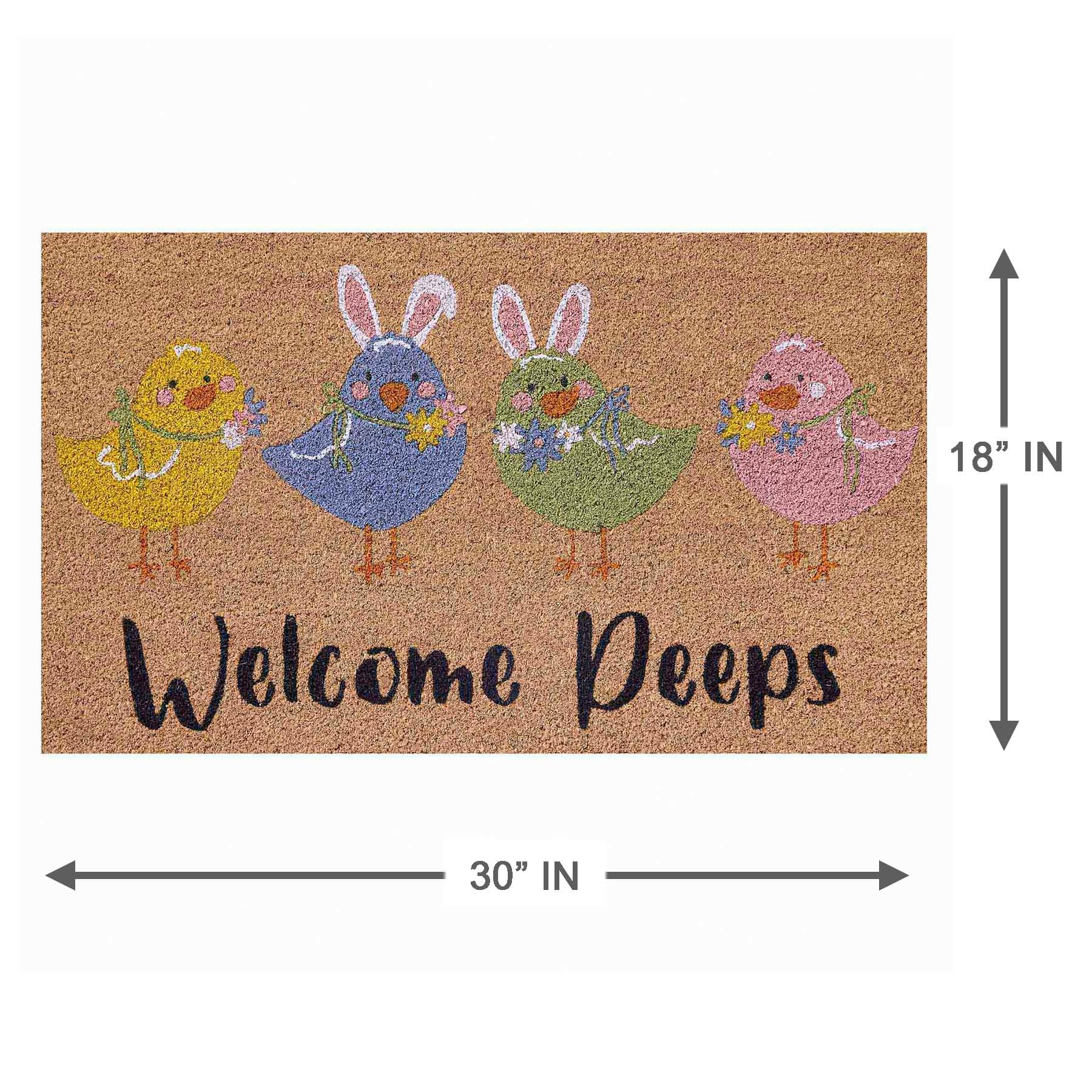 Welcome Chicks Coir Mat, 18x30