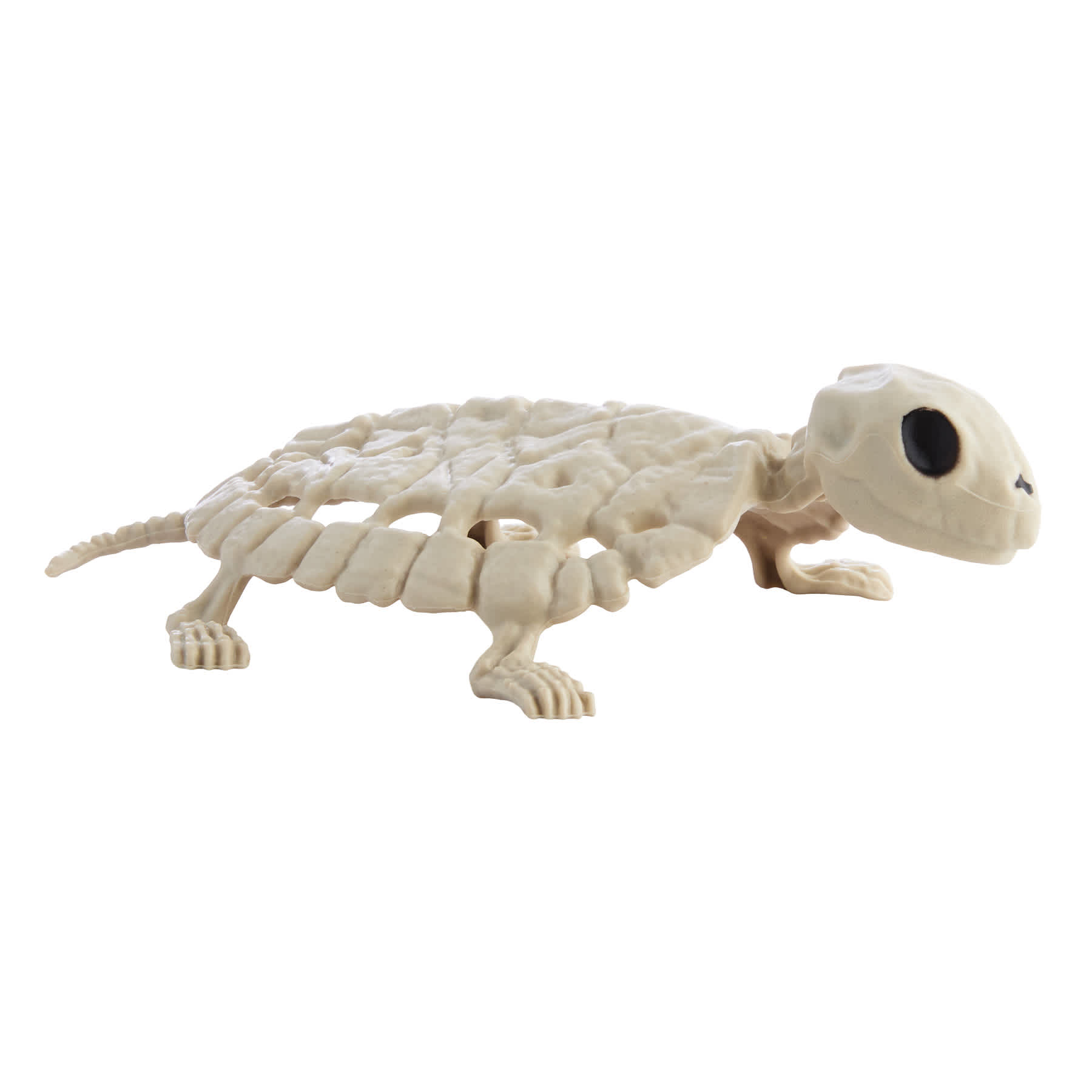 Skeleton Turtle
