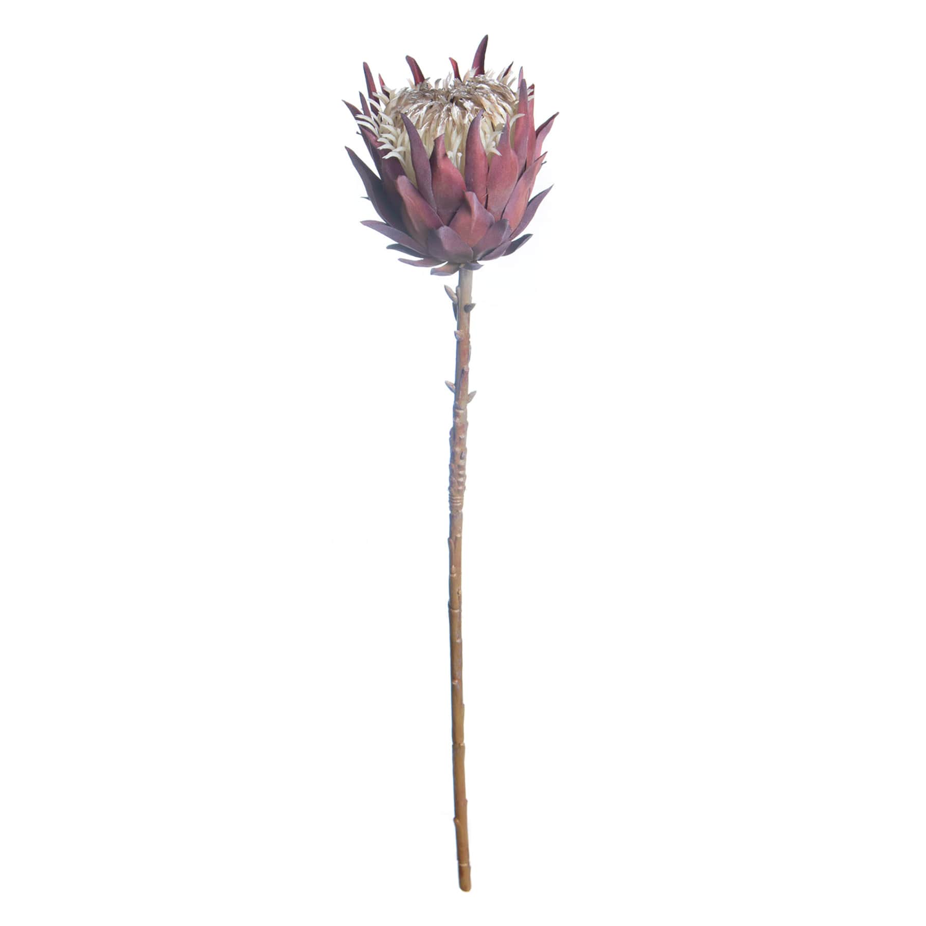 Tracey Boyd Pink Protea Stem, 27"