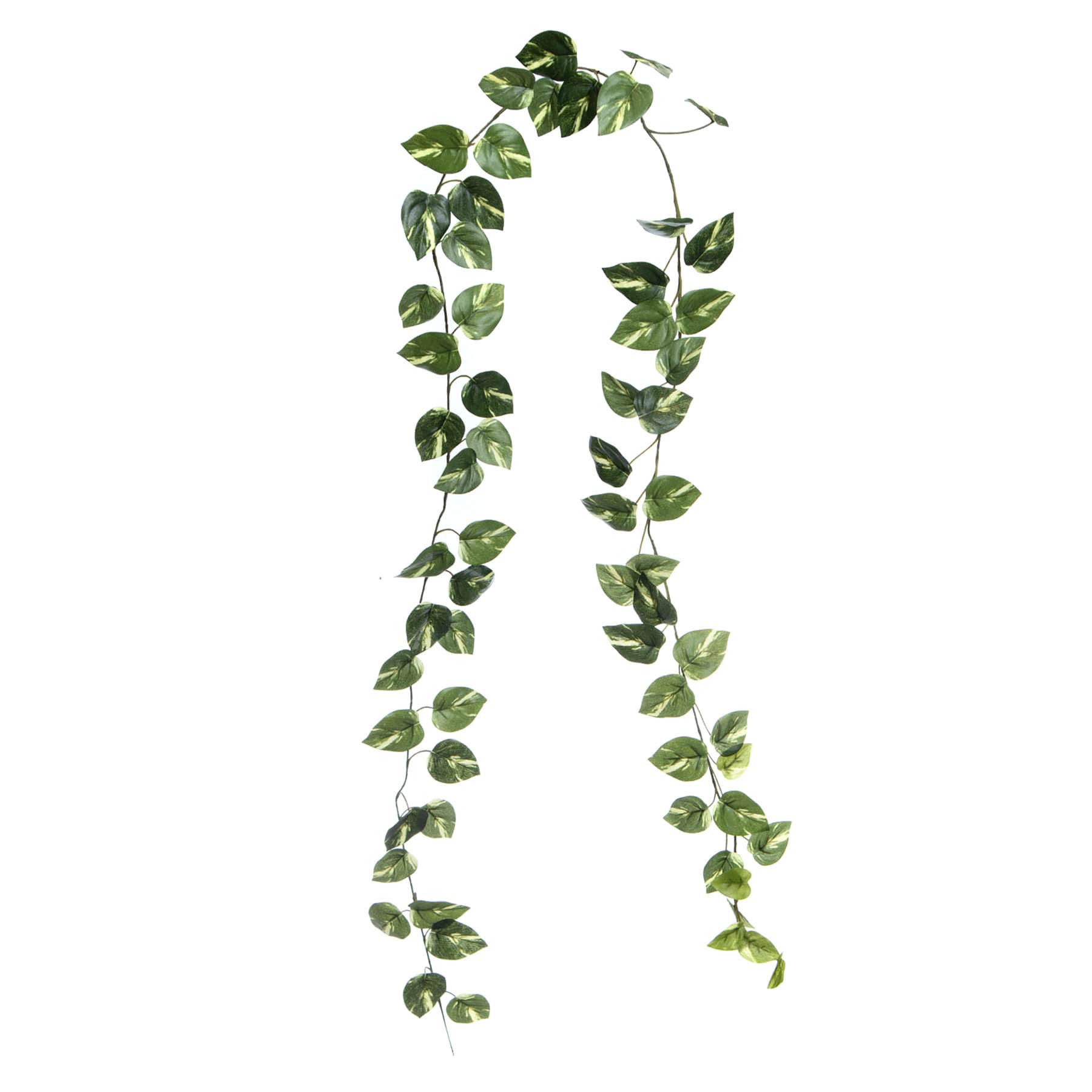 Pothos Garland, 72"