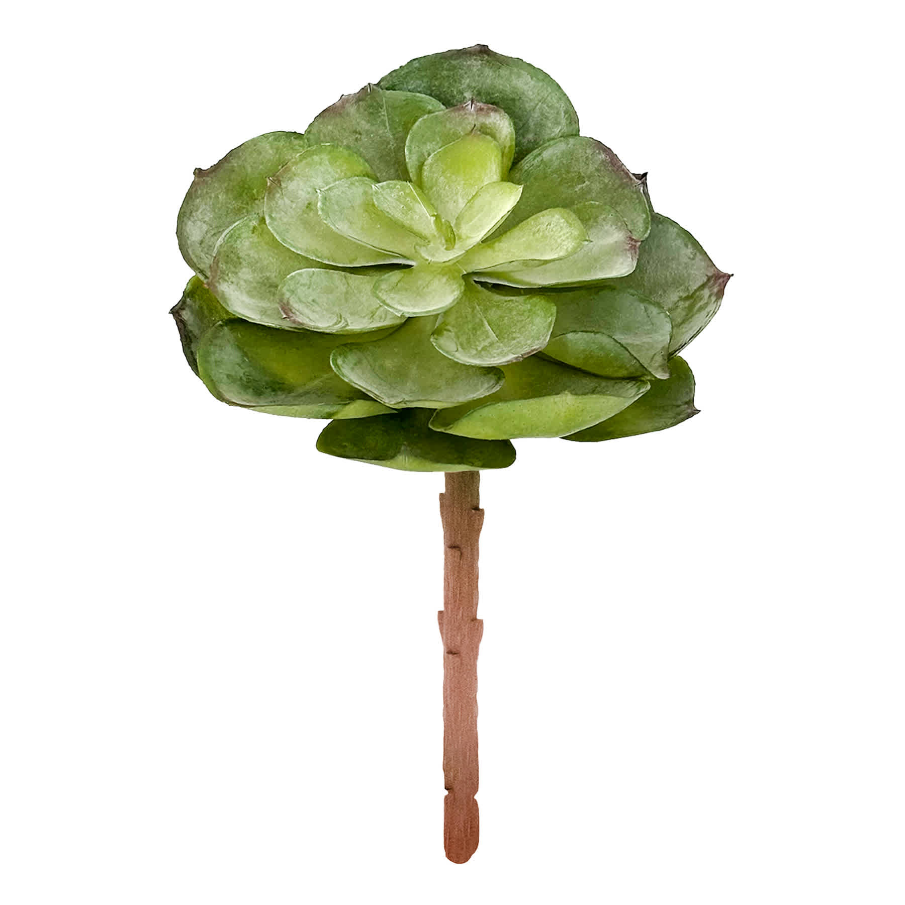Green Flocked Succulent Pick, 5.5"