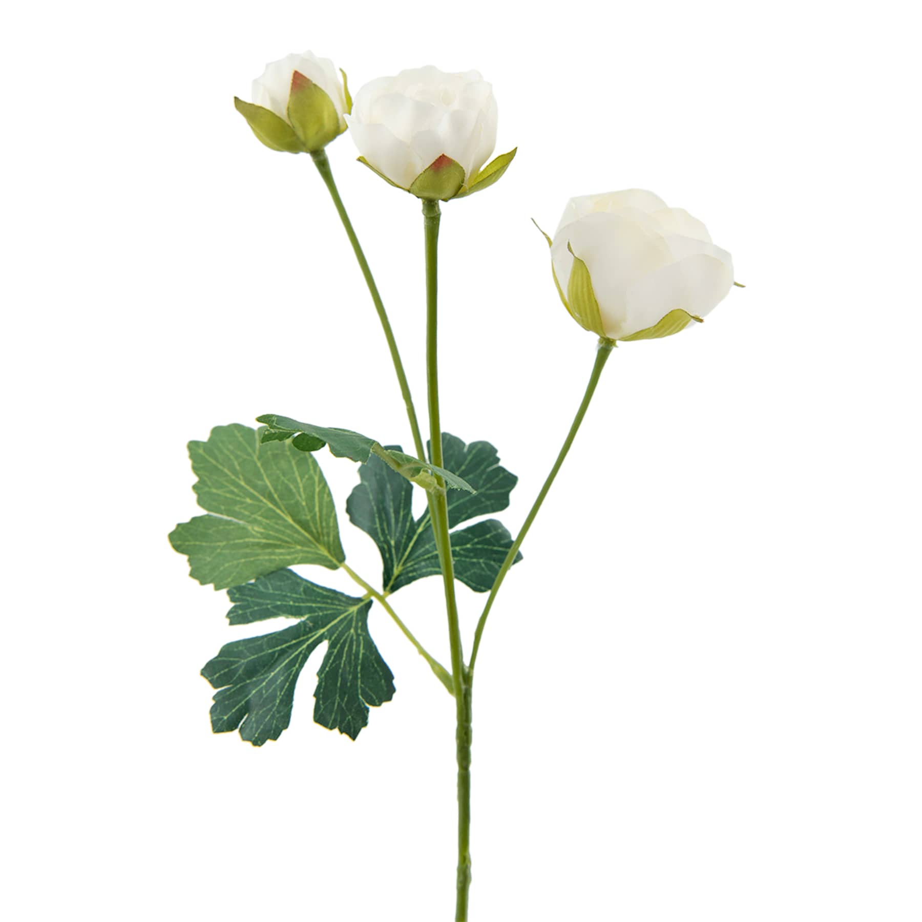 Willow Crossley 3-Head White Ranunculus Floral Spray, 12"