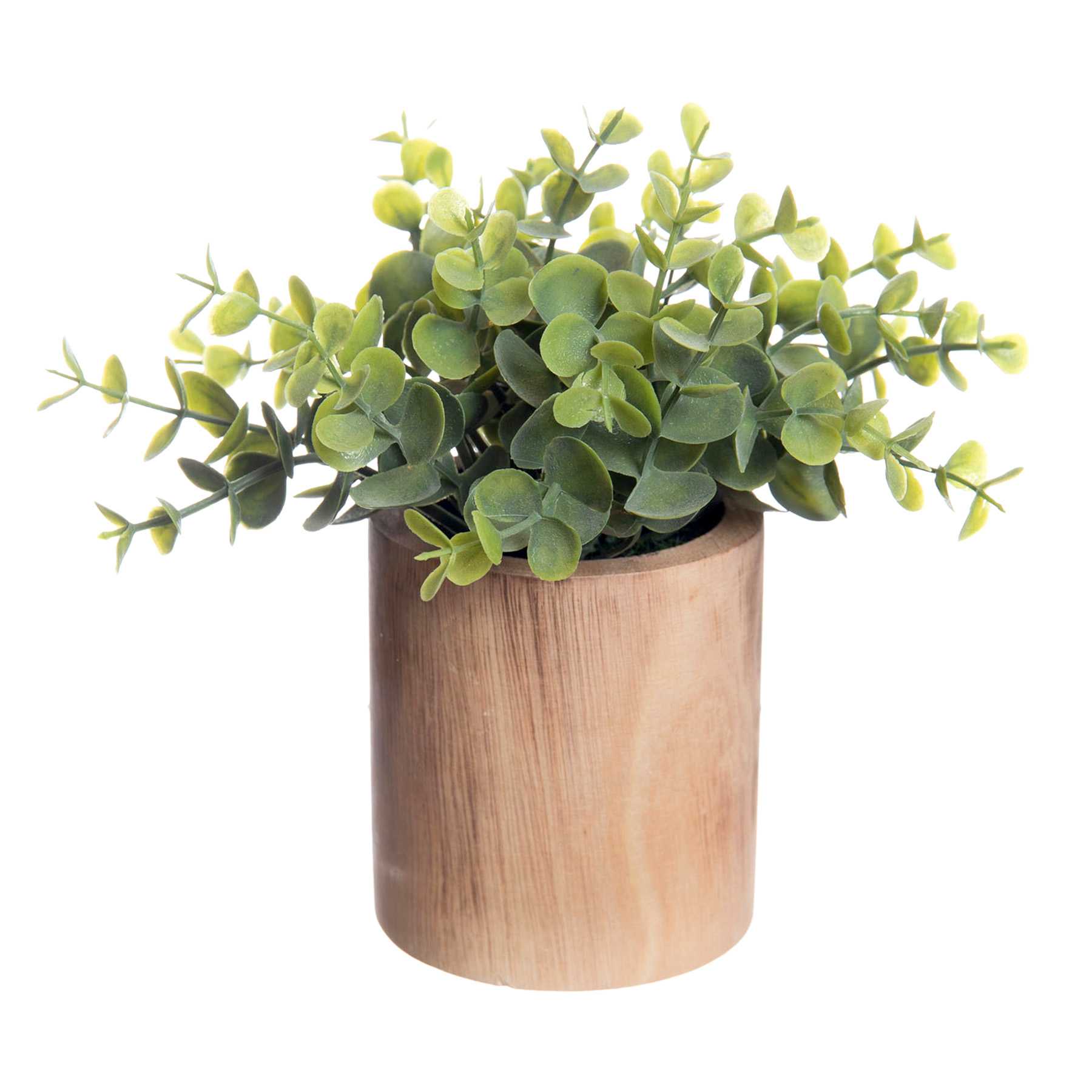 Eucalyptus Spray in Wooden Pot, 8"