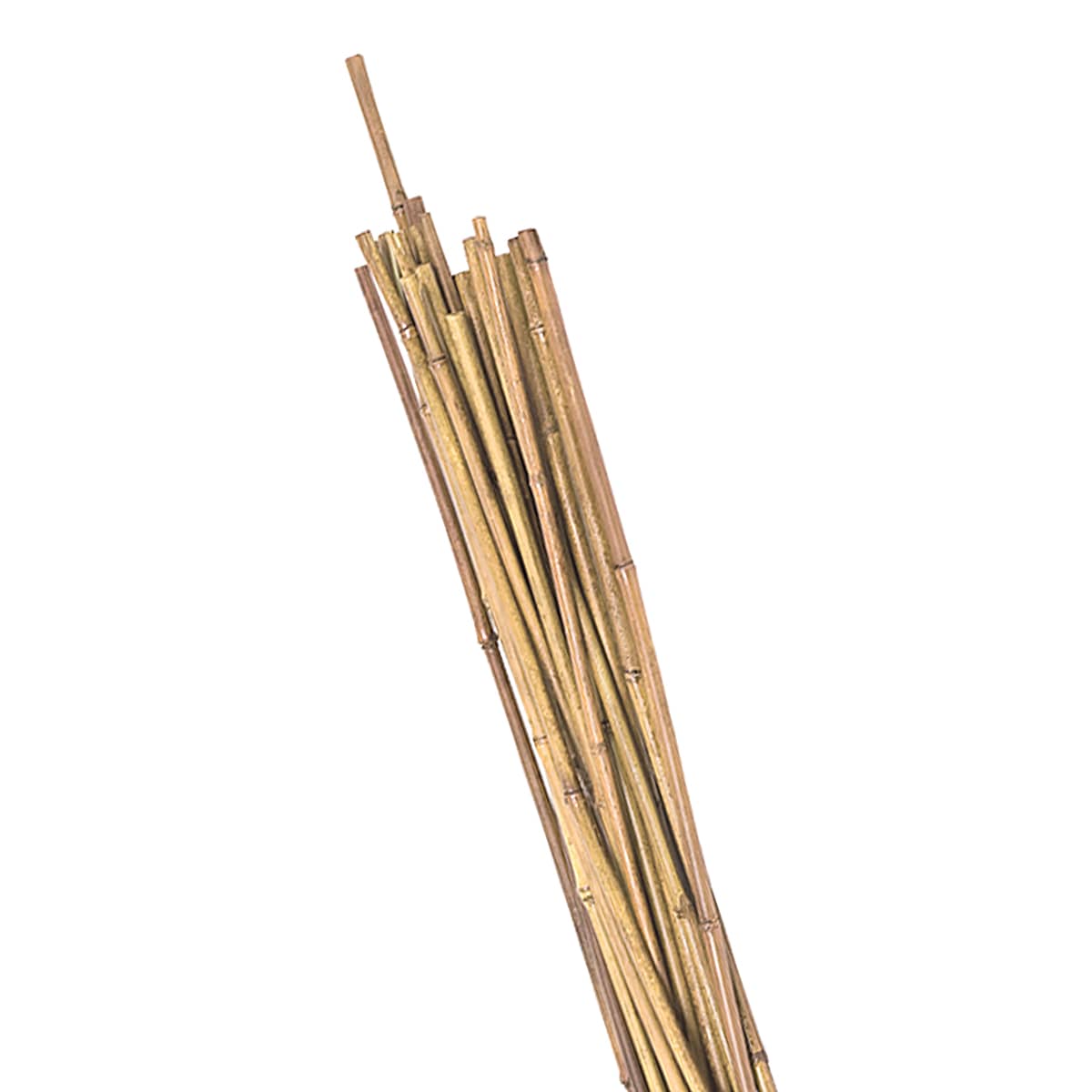 12-Piece Bamboo Yard Stakes, 5'
