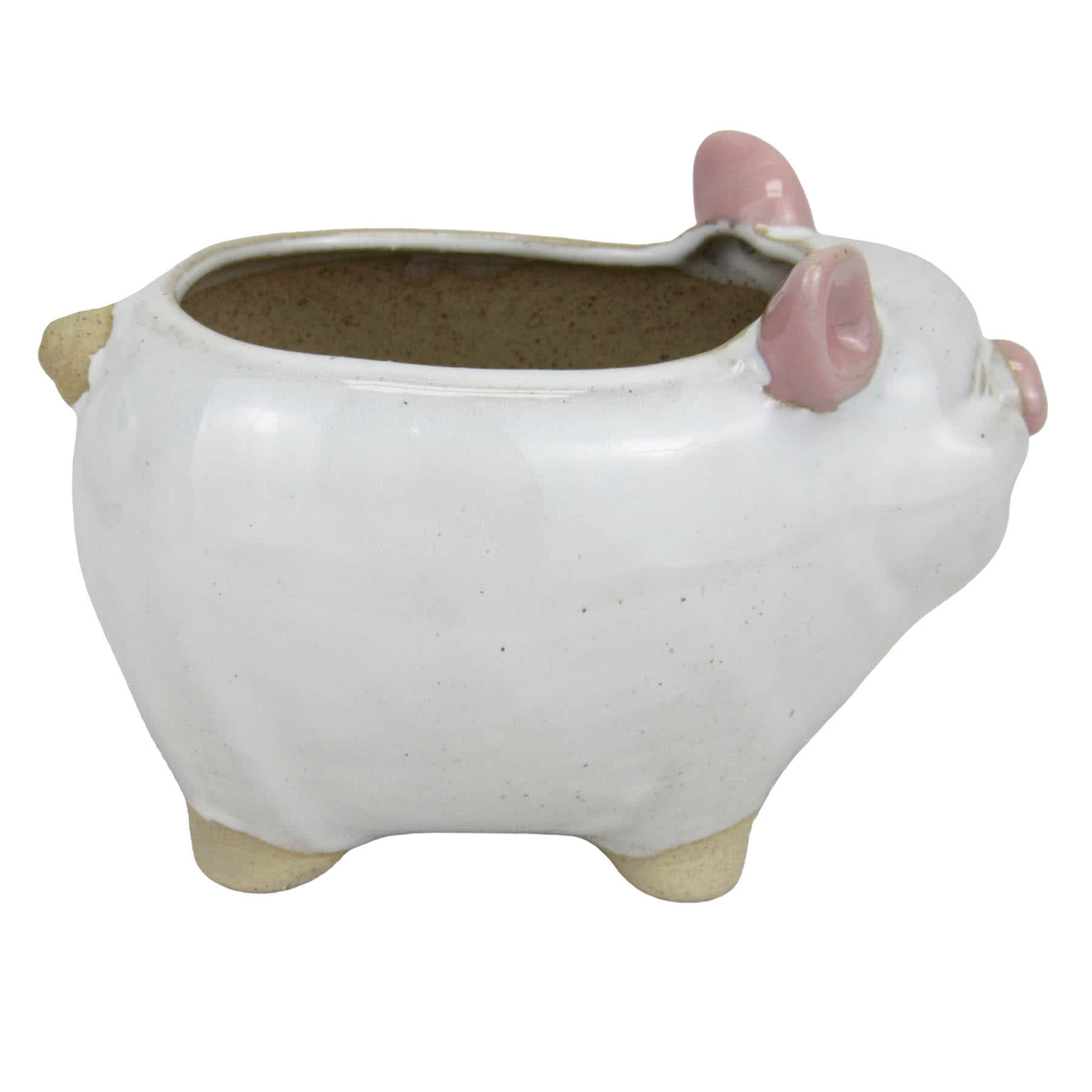 Indoor Pig Ceramic Pot, Extra Small