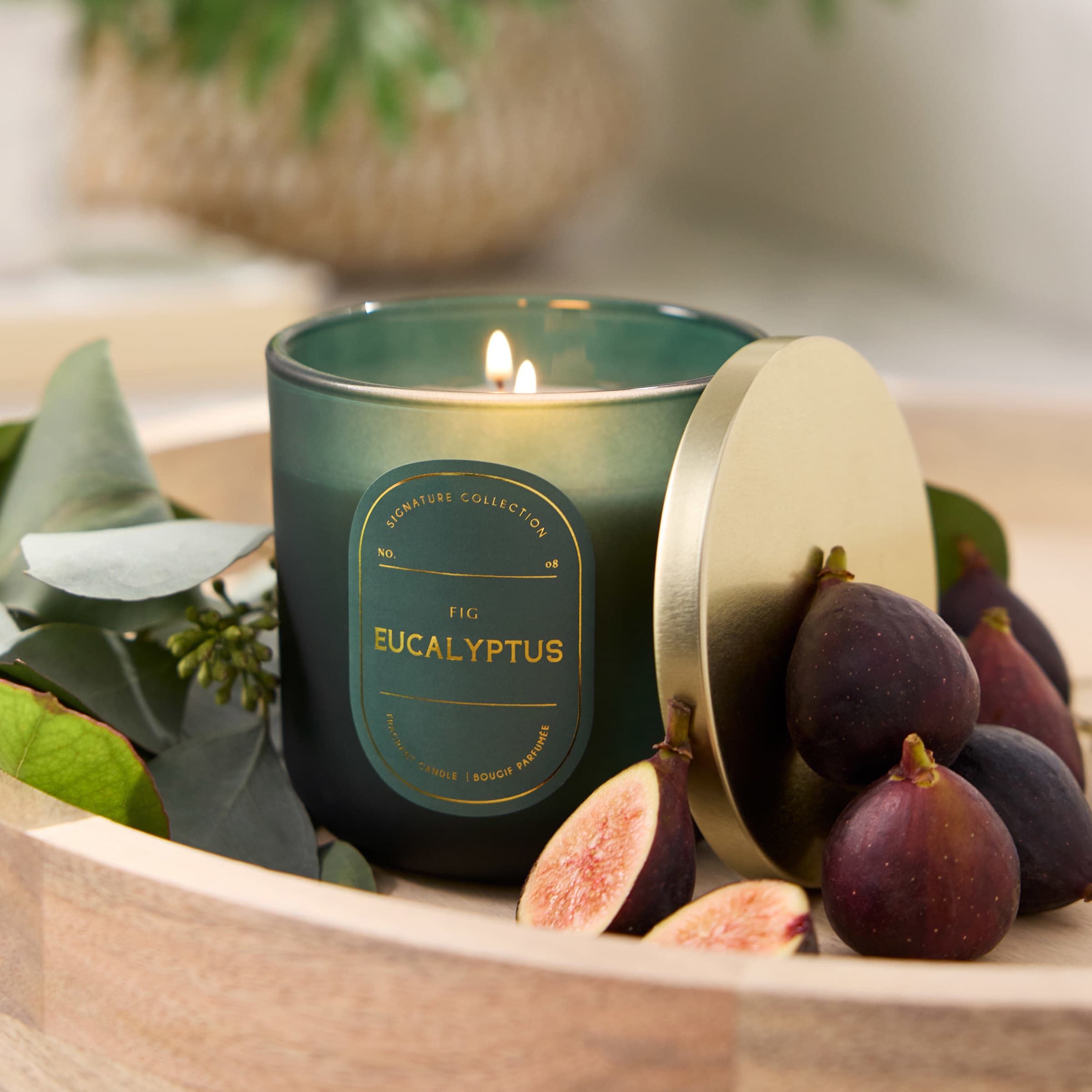 Fig Eucalyptus Scented Jar Candle, 12.5oz