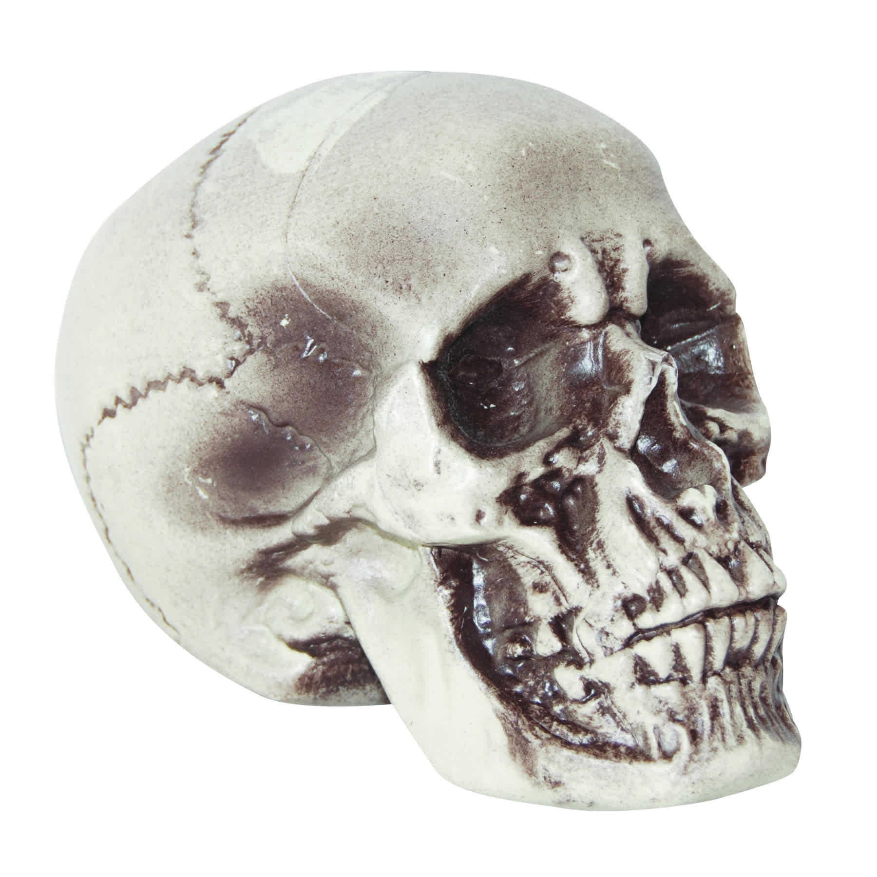 Realistic Foam Halloween Skull, 7"