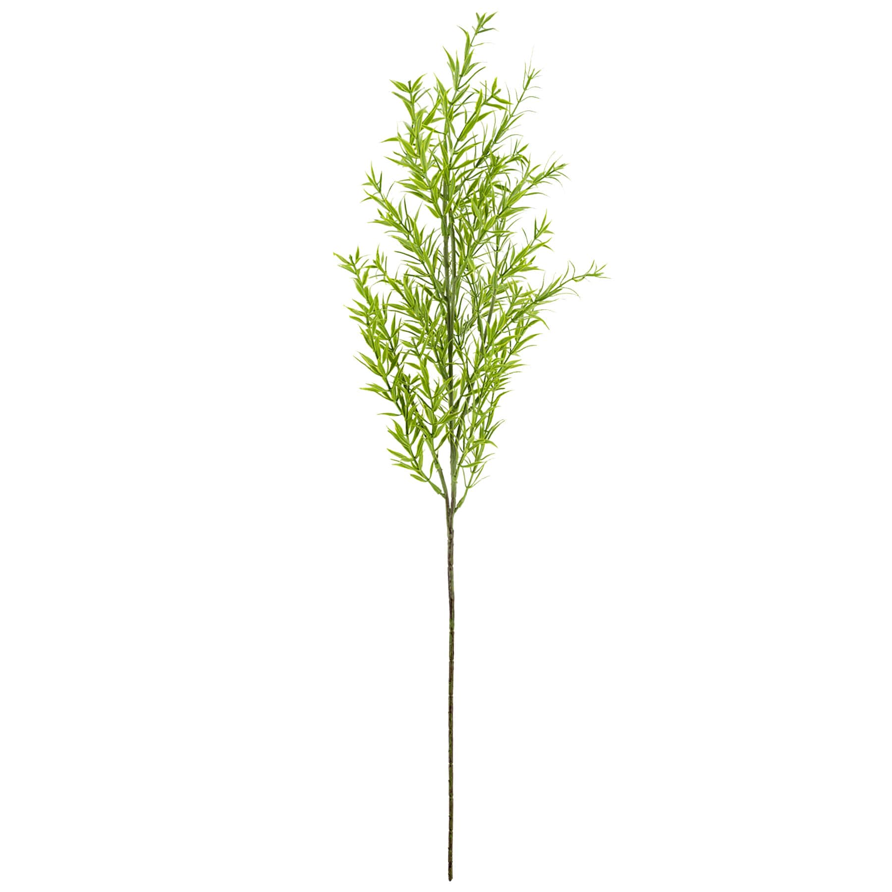 Dill Stem, 27"