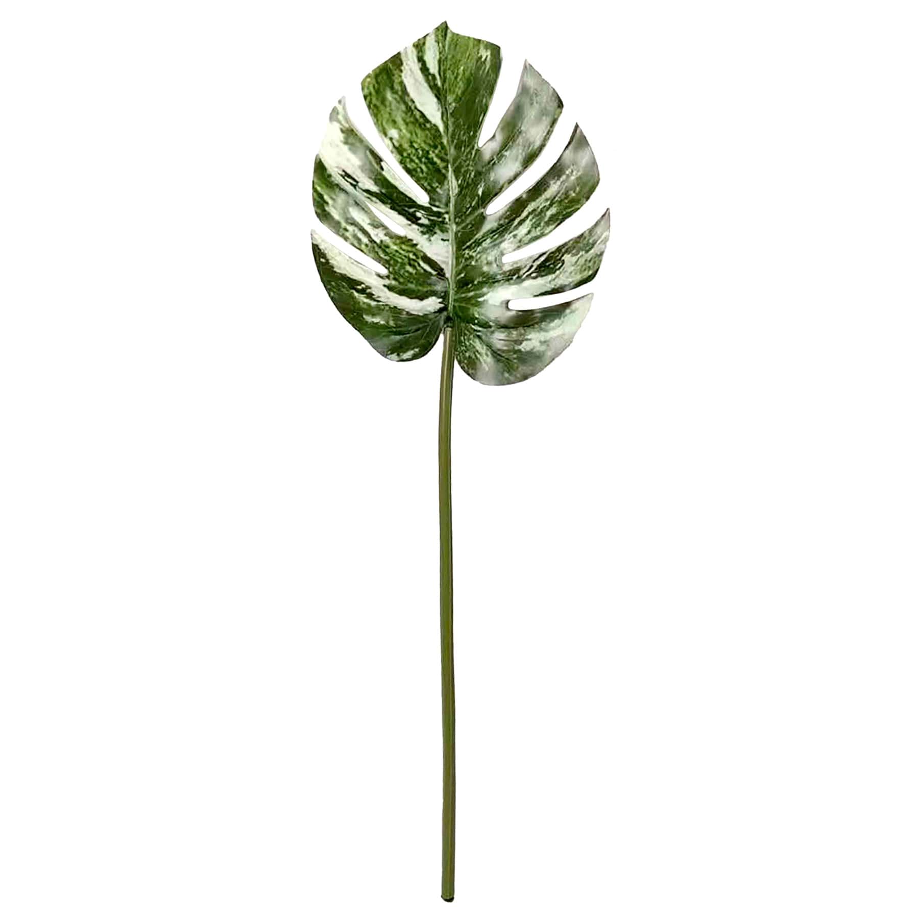 Variegated Monstera Leaf, 27"