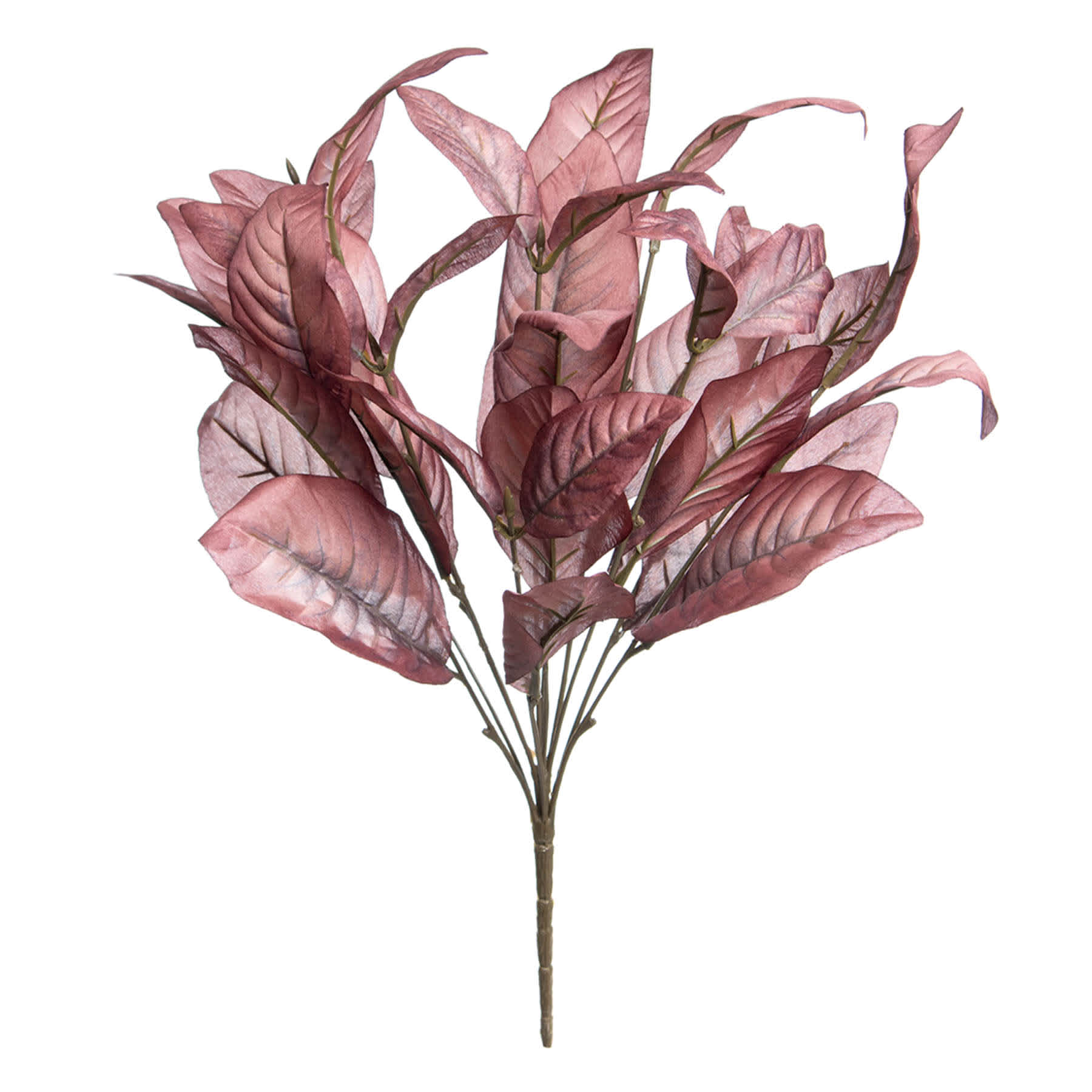 Magnolia Leaf Bush, 19"