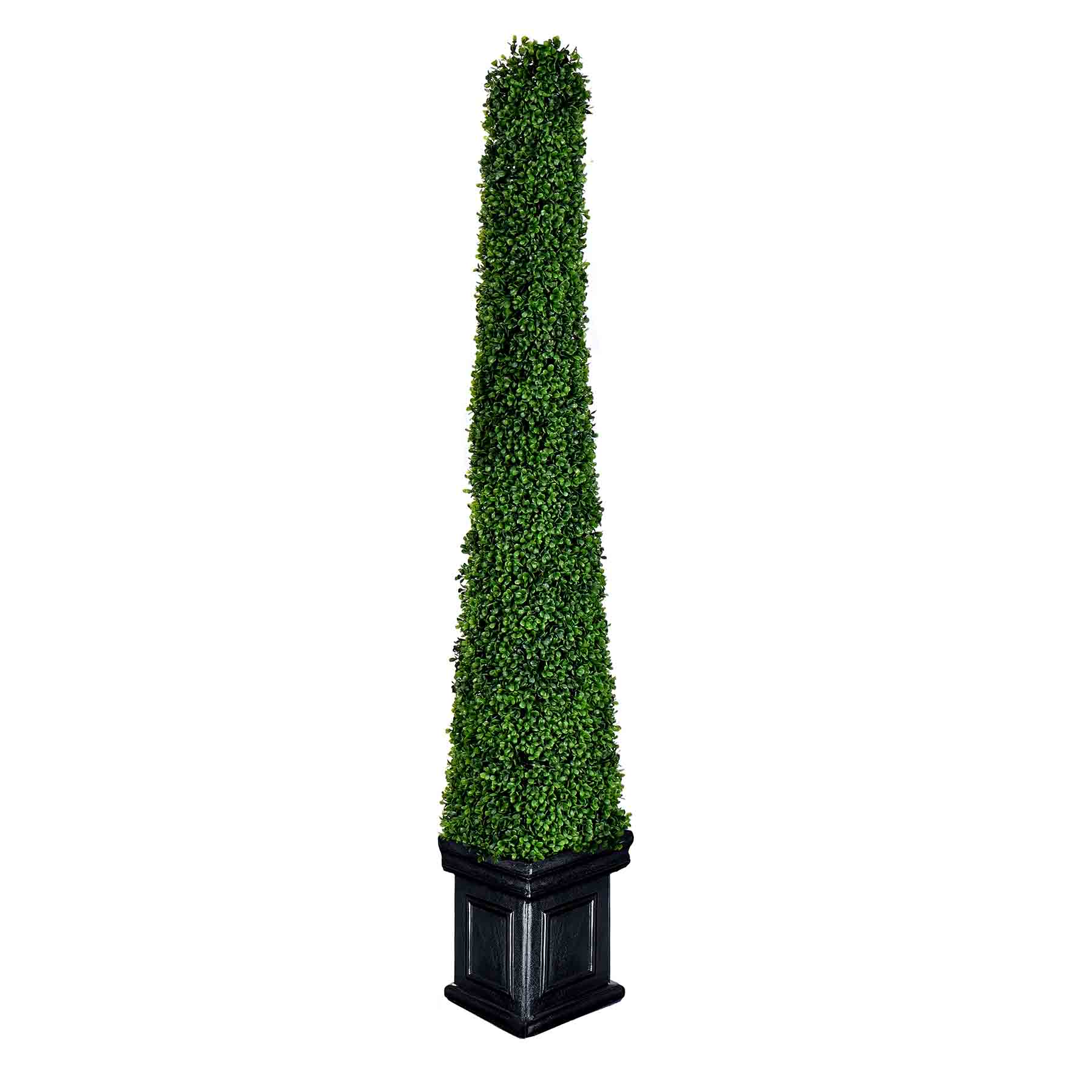 Pyramid Boxwood Topiary, 52"