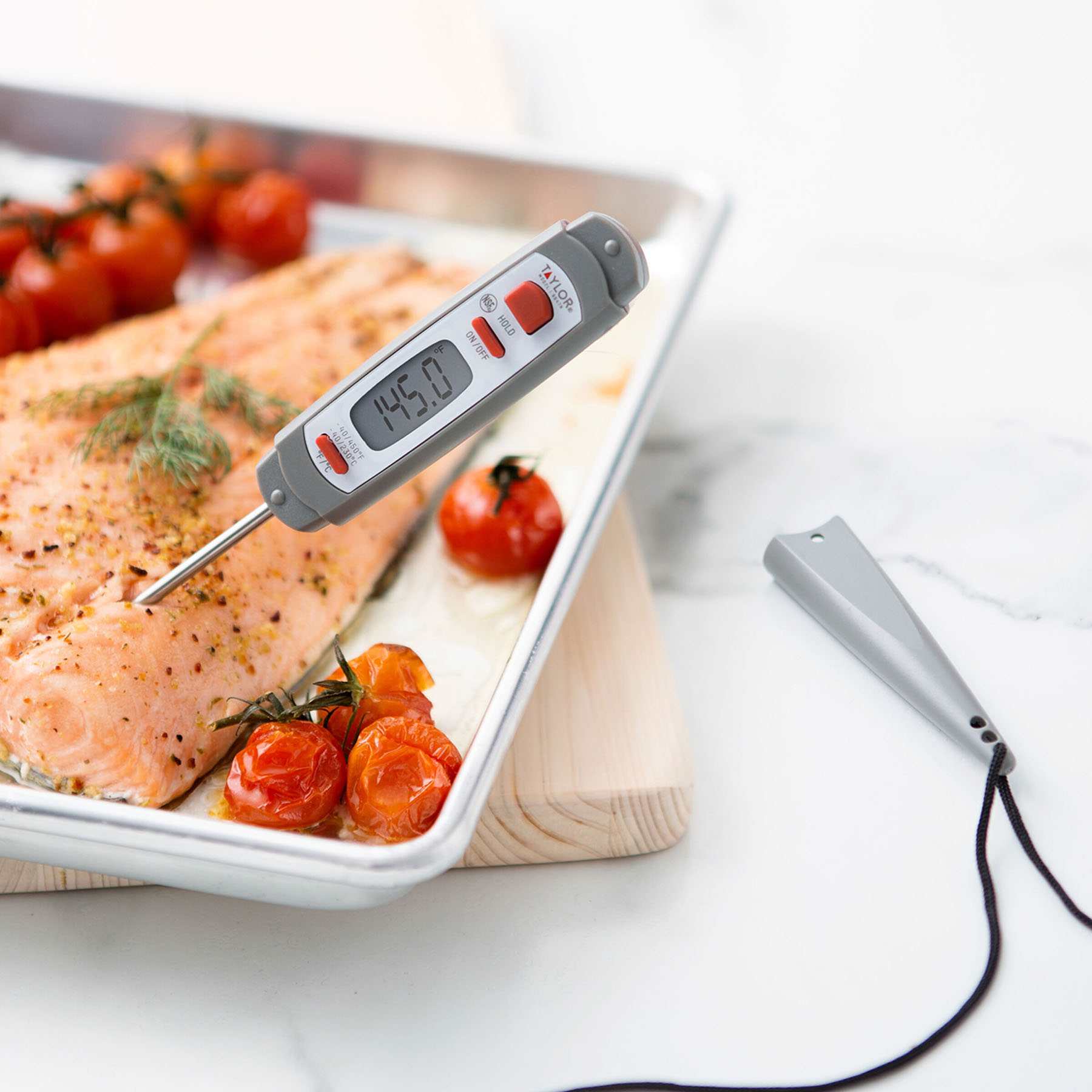 Taylor Digital Waterproof Pen Thermometer