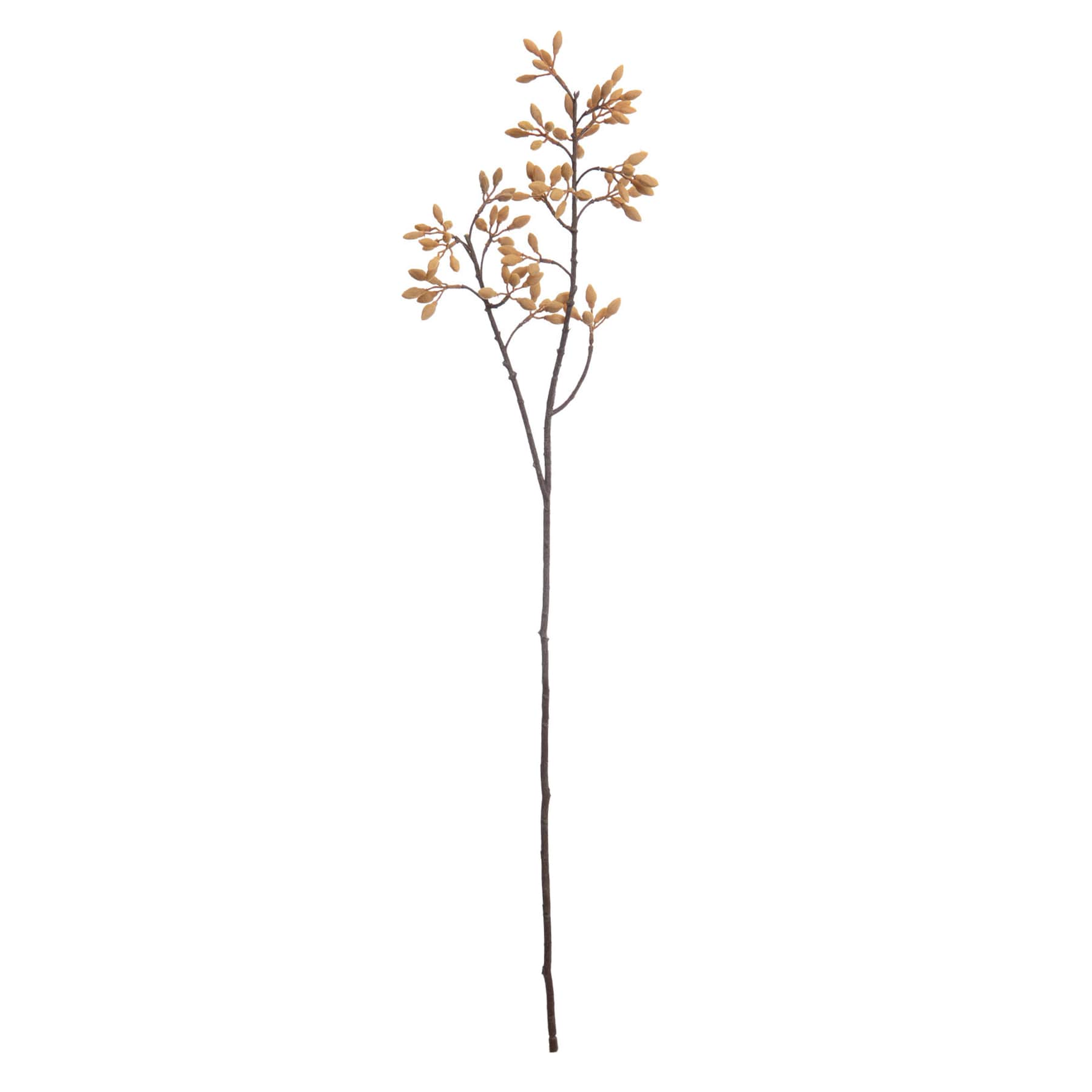 Natural Firmiana Simplex Chinese Parasol Tree Spray Stem, 30"