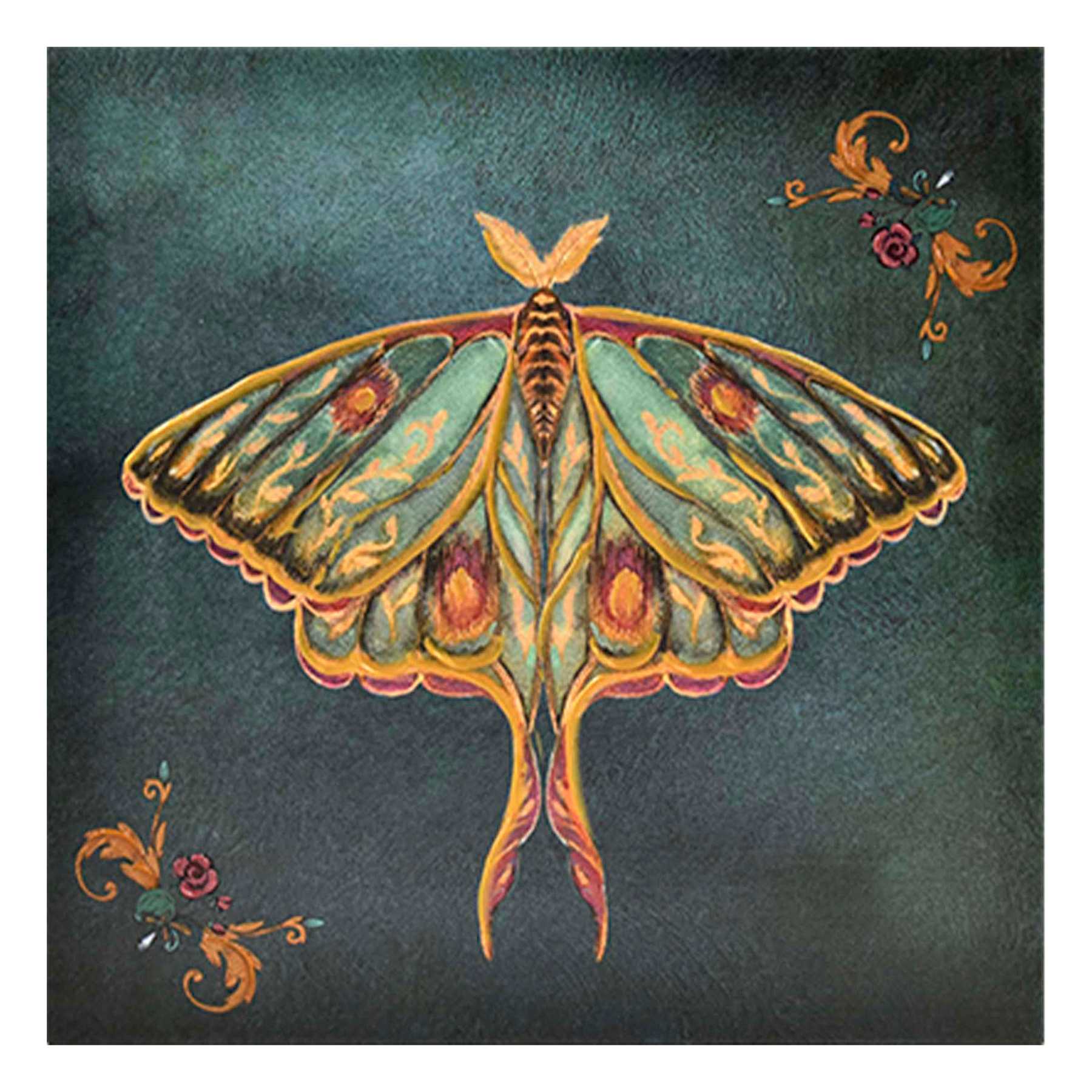 SCADpro Moth on Green Canvas Wall Art, 12"