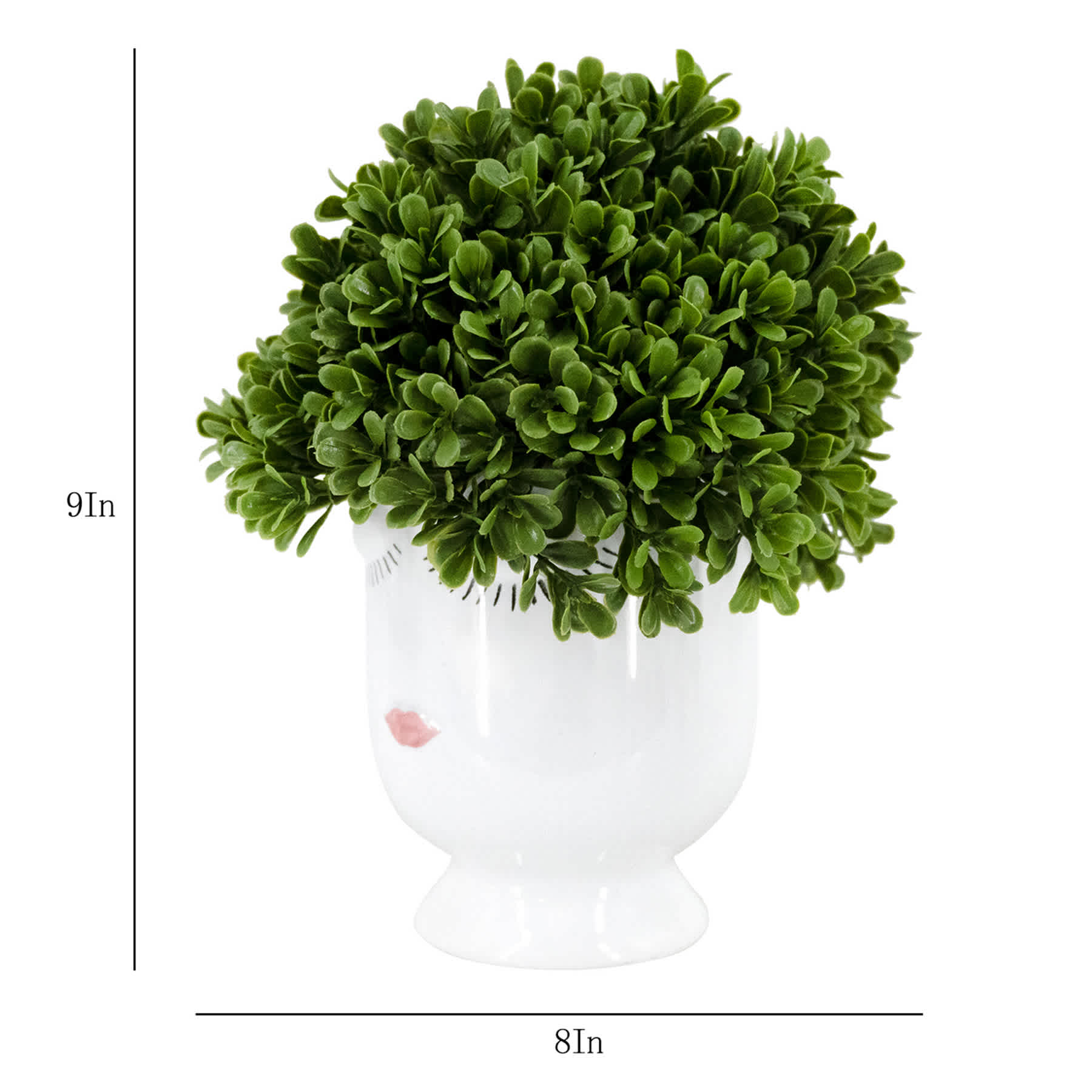 Boxwood in Face Vessel, 9"