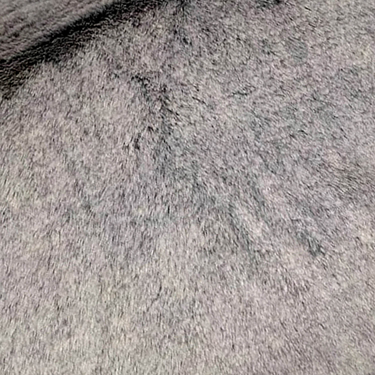 Grey Luxury Chinchilla Faux Fur Throw Pillow, 14x20