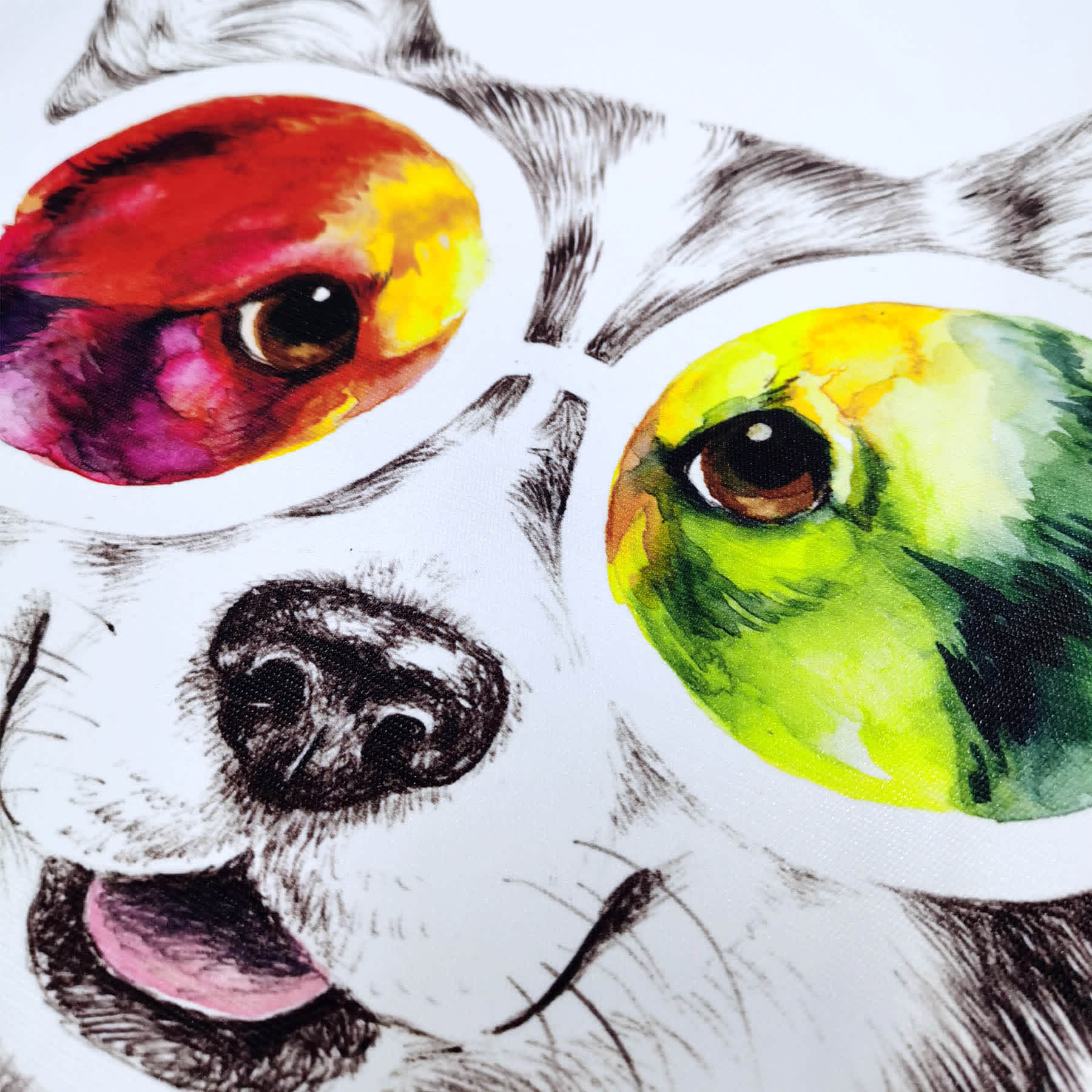 Corgi in Cosmic Glasses Canvas Wall Art, 12x16
