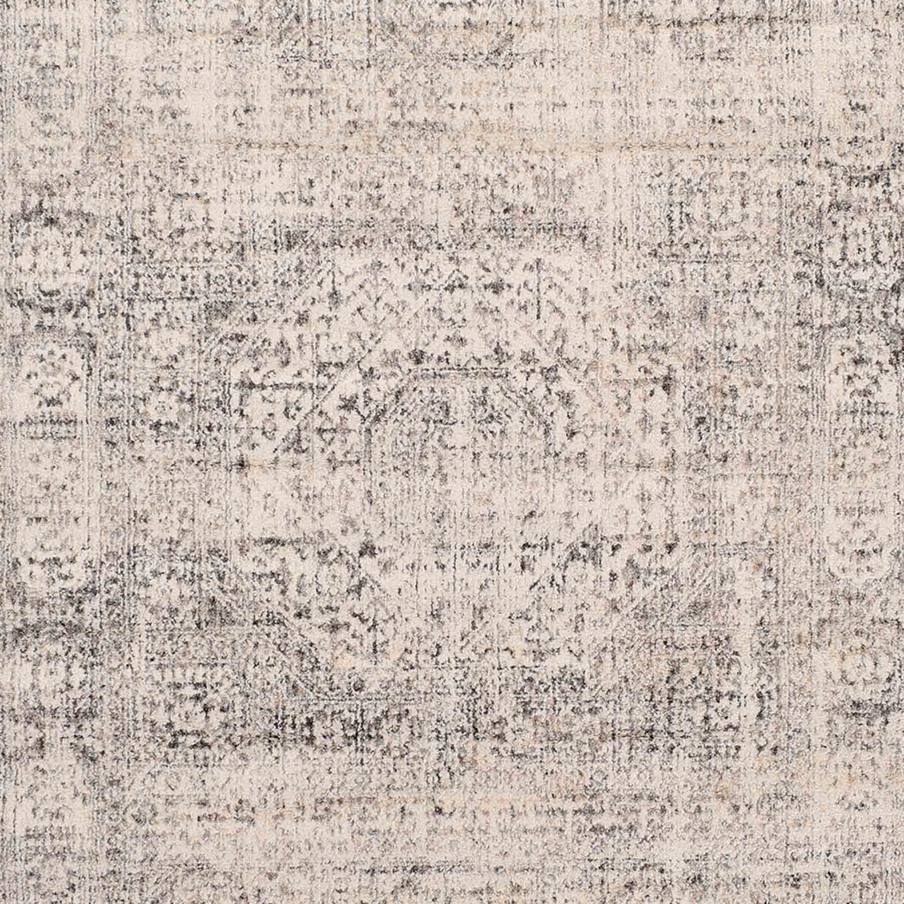 (B741) Firenze Neutral Traditional Area Rug, 8x10