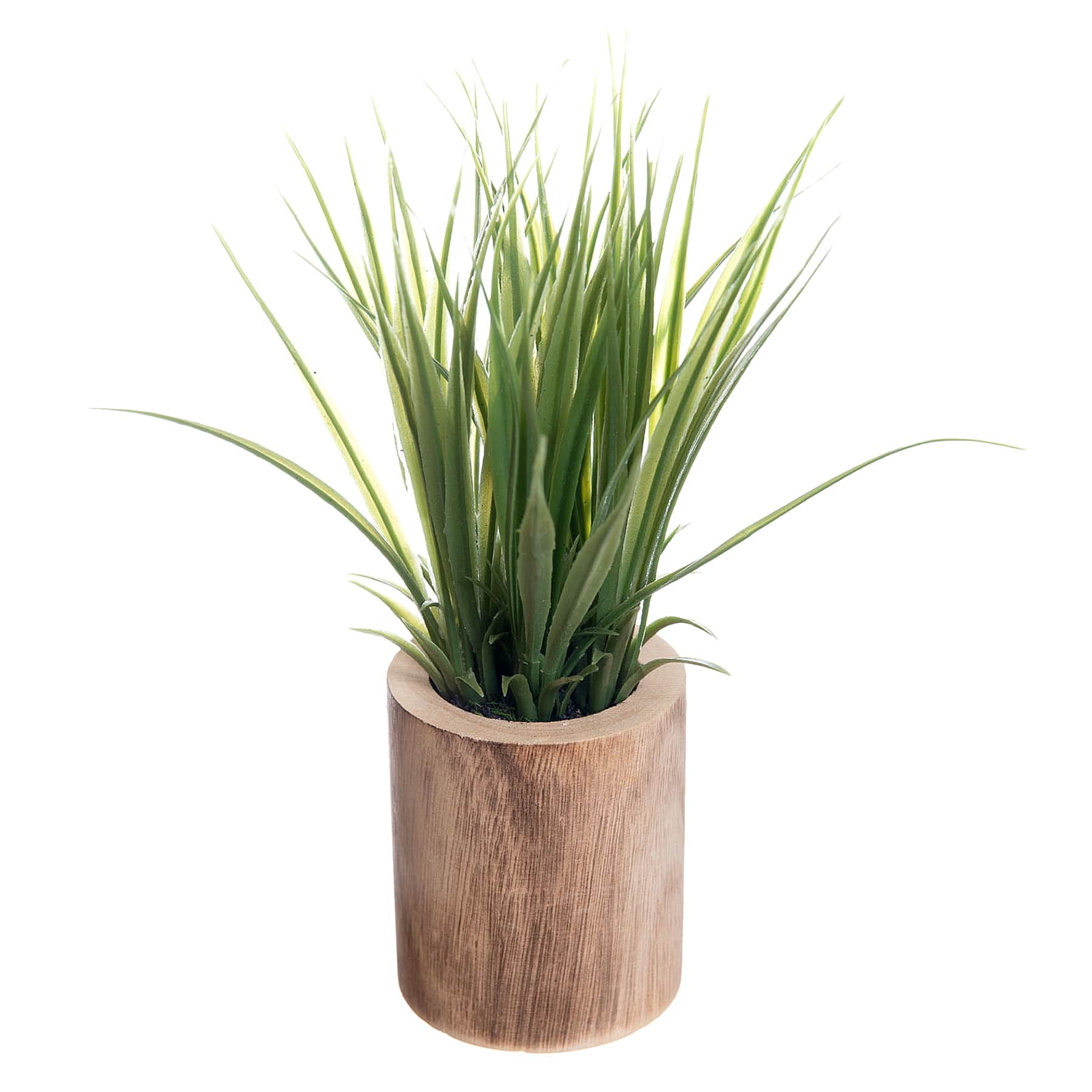 Grass Bundle in Wooden Pot, 9"