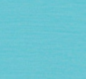 Durant Jr. Long Sleeve Hooded T-Shirt