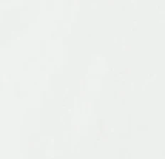 Arizona State Huronn Featherweight Performance Polo