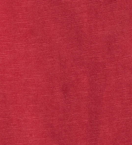 Arizona Cardinals Coastal Wash Original Polo
