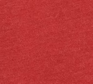 Arkansas Freeman Hoodie Jr. Sweatshirt - Script Logo