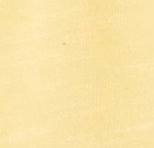 Original 4-Button Polo - Coastal Wash
