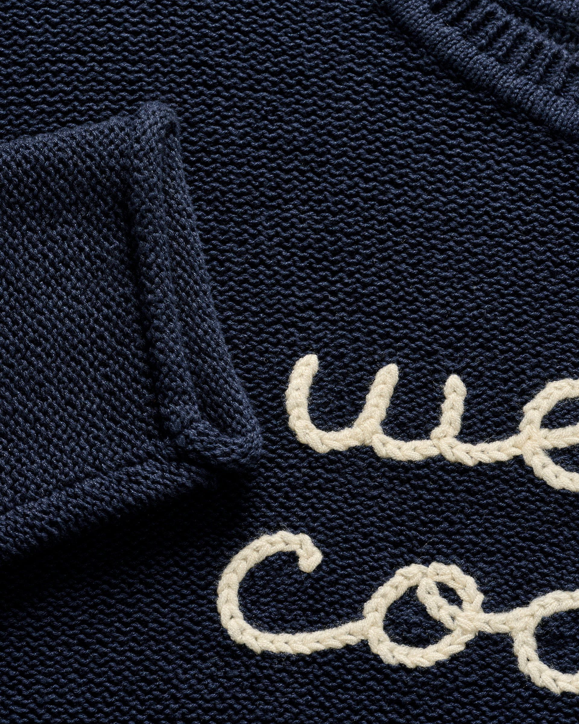 Coastal Chloe Cotton Blend Crewneck Sweater