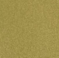 Natalia Button-Up Blouse