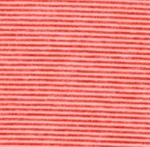 Georgia Lyndonn Striped Jersey Performance Polo