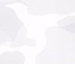 Los Angeles Dodgers Patton Performance Camo 1/4-Zip Pullover