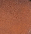 Clubhouse Penny Loafer