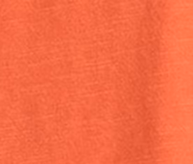 Cleveland Browns Coastal Wash Original Polo