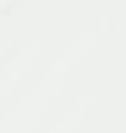 Alabama Huronn Featherweight Performance Polo