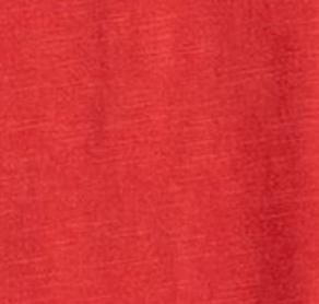 Atlanta Falcons Coastal Wash Original Polo