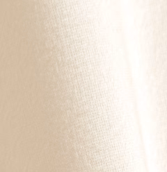 Audrey Charmeuse Slip Skirt