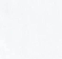 Dallas Cowboys Coastal Wash Original Polo