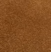 Malibu Moccasin 2.0