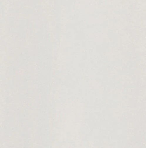 Ohio State Talon Featherweight Performance Hoodie - 2024 CFP Champions Logo