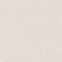 Everyday Cotton Crewneck Sweatshirt