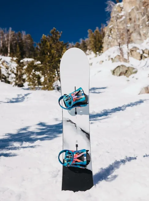 Burton Mens Snowboard Burton Family Tree Gril Master Camber