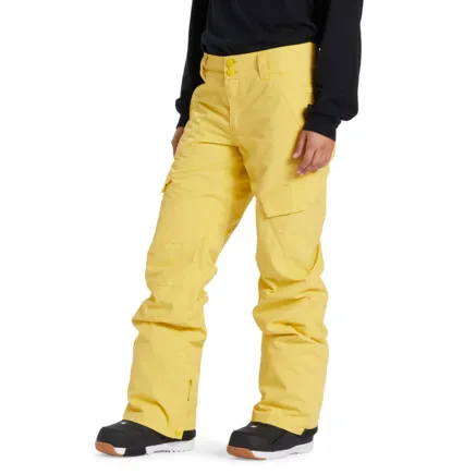DC Womens Snow Pants Nonchalant