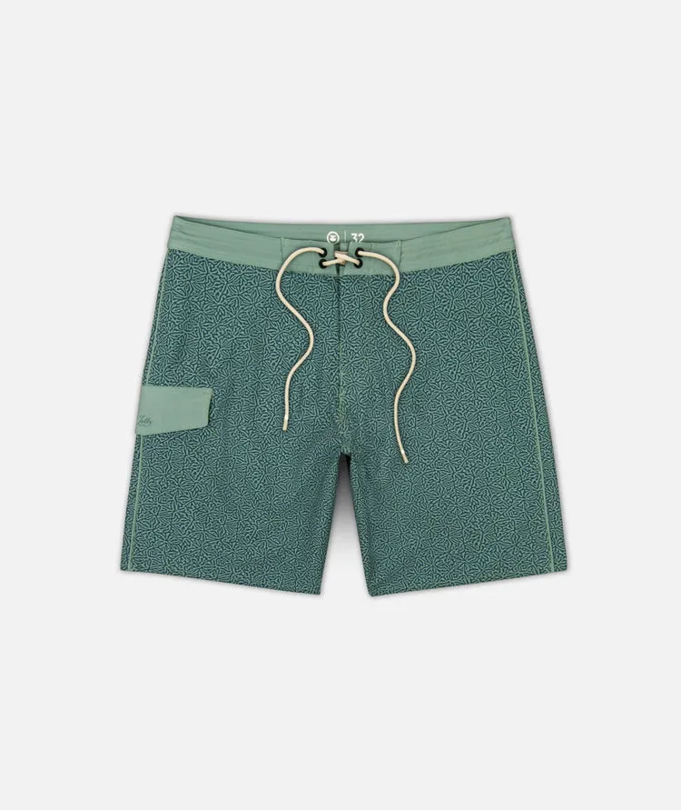 Jetty Mens Boardshorts Holgate