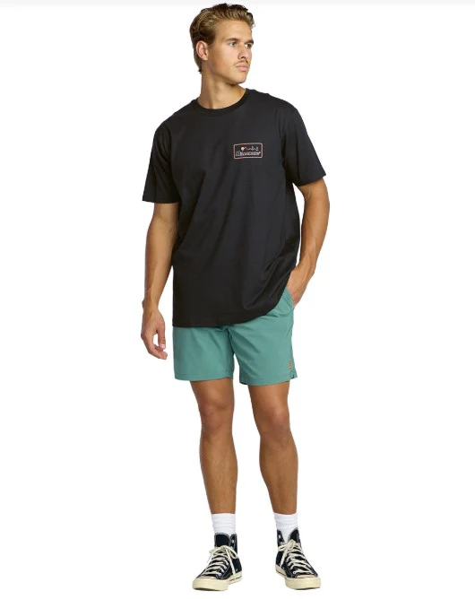 Billabong Mens Shirt Range Adiv