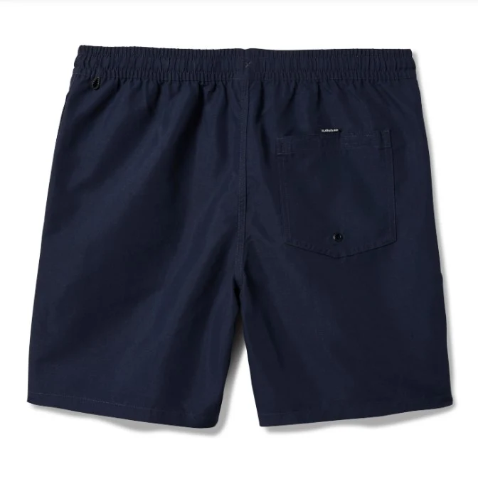 Quiksilver Mens Boardshorts Everyday Solid Volley 17